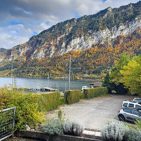 Surfers Deck Near Interlaken, At With Pool